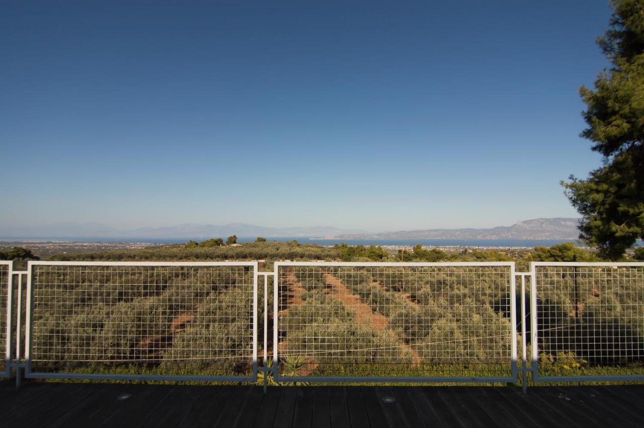 Country Villa Peloponnese With Tennis Court And Pool Ζευγολατιό Εξωτερικό φωτογραφία
